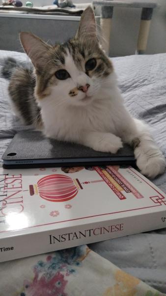 Photo de Maia
