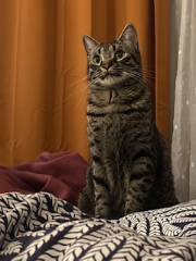 Lou