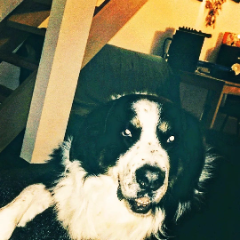Kayilo