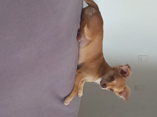 UMY