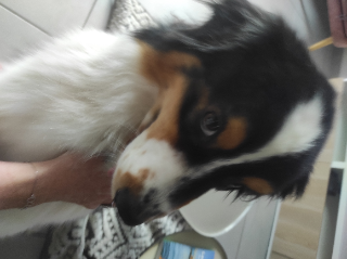 Ralph