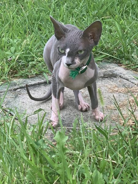 Photo de Luna