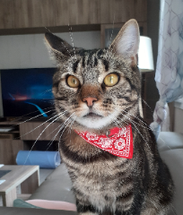 Billy