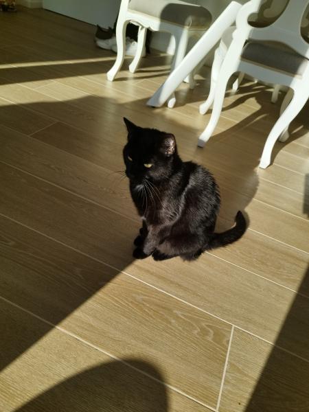 Nerone