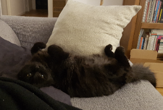 Charlie