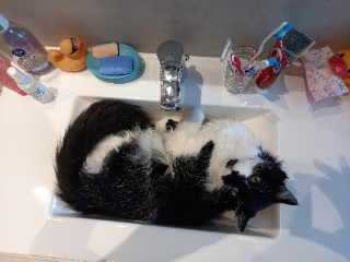 MERLIN