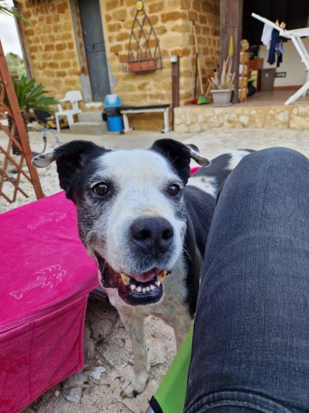 Nikita