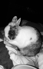 Kendy