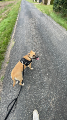 rita