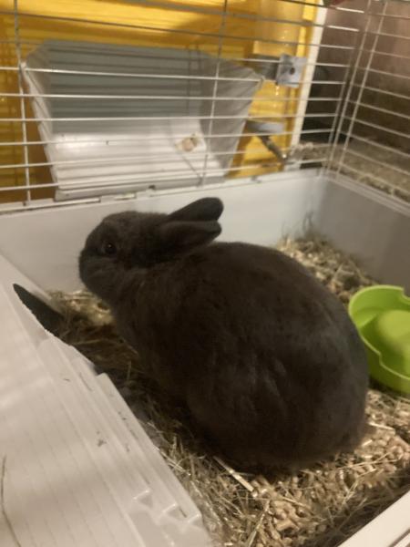 Photo de Minù