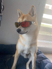 Aki