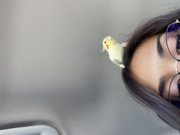 Paquito