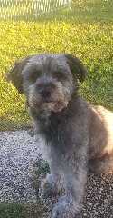 Paco