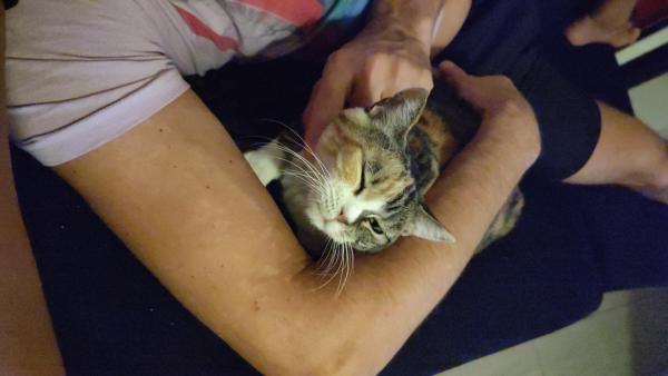 Athena