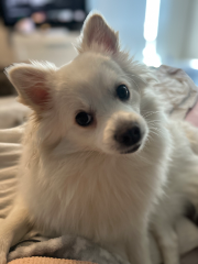 Tina