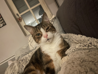 Moky