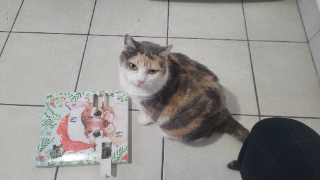Princesse