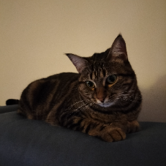 Lily