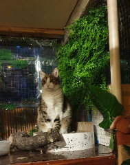 Marley