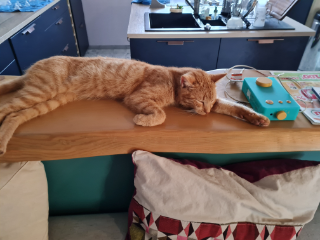Caramel