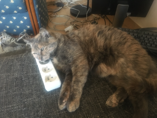 Luna
