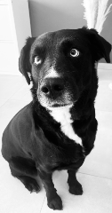 Xena alias Didine