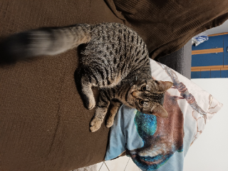 Kezo