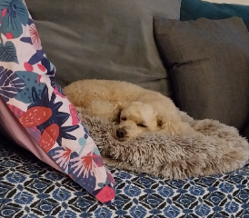 Lulu