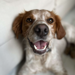 Sam