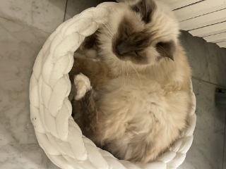 Bijoux