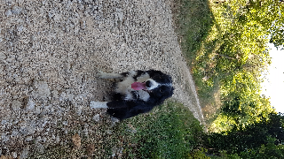 NALA
