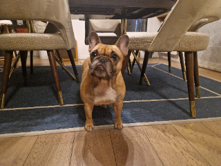 Praline