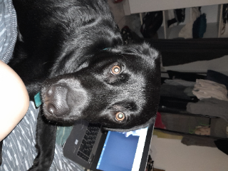 Sirius