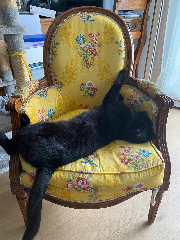Oscar