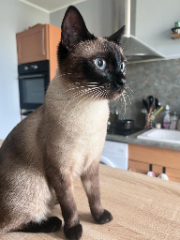Kiki