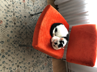 Edna
