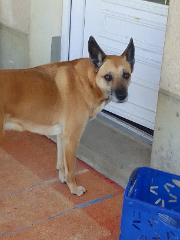 louxi