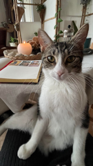Freya