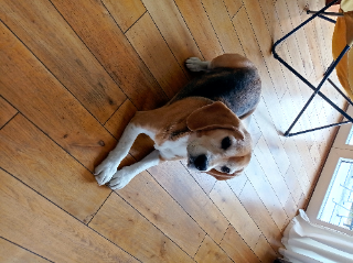 Sam