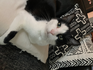 Berlioz