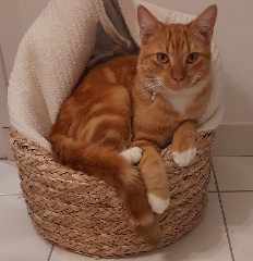 Thierry