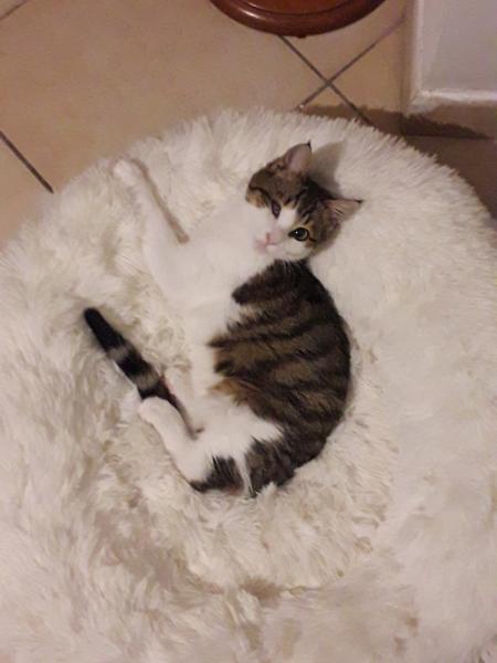 Leo