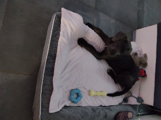 Loky