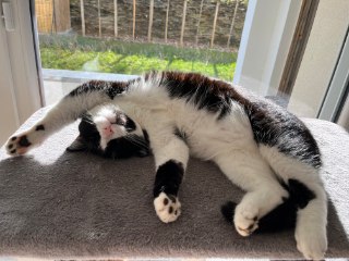 Kiki
