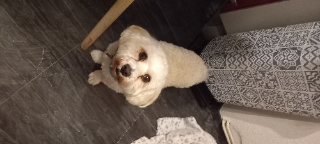 Ocki