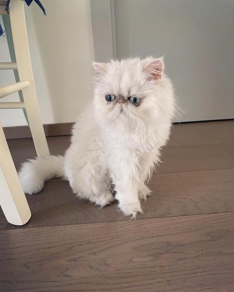 Photo de Lupita