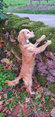 Bella