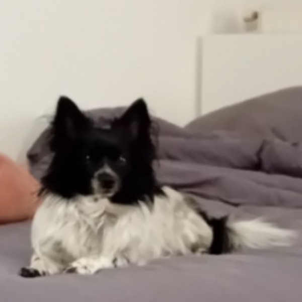 Django