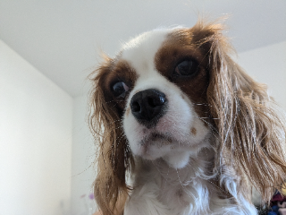Riley