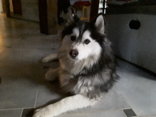 Thunder